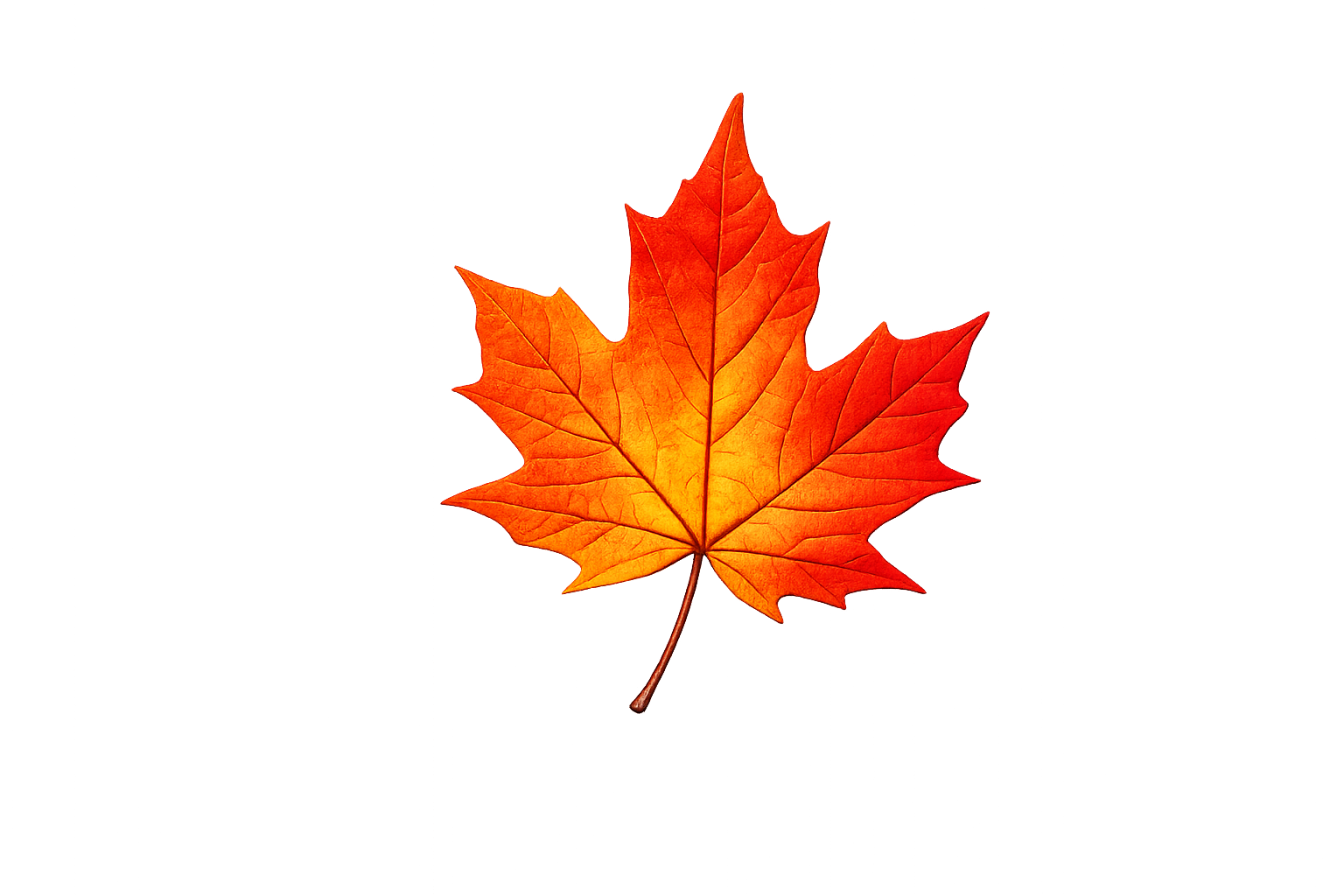 Leaf Cleanup