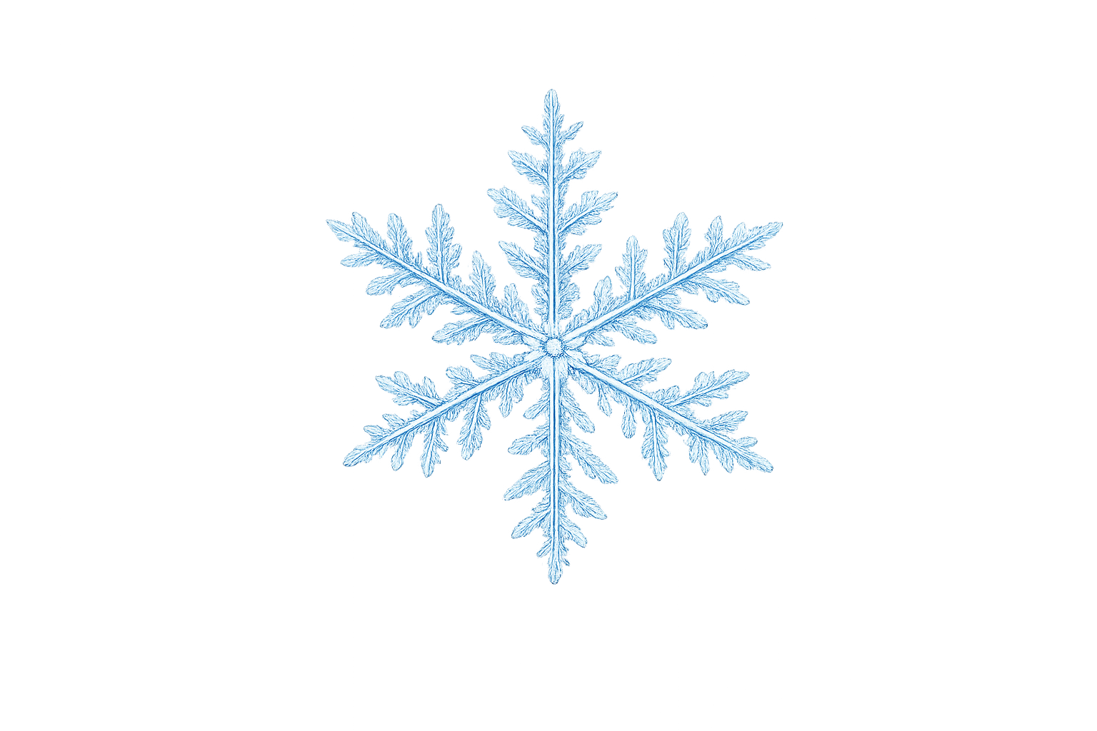 Snow Removal